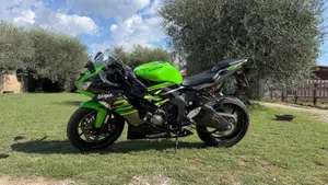 Kawasaki Ninja 636 ZX-6R (2019 - 20)  (2)