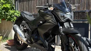 Kawasaki Z 300 ABS (2015 - 16) 