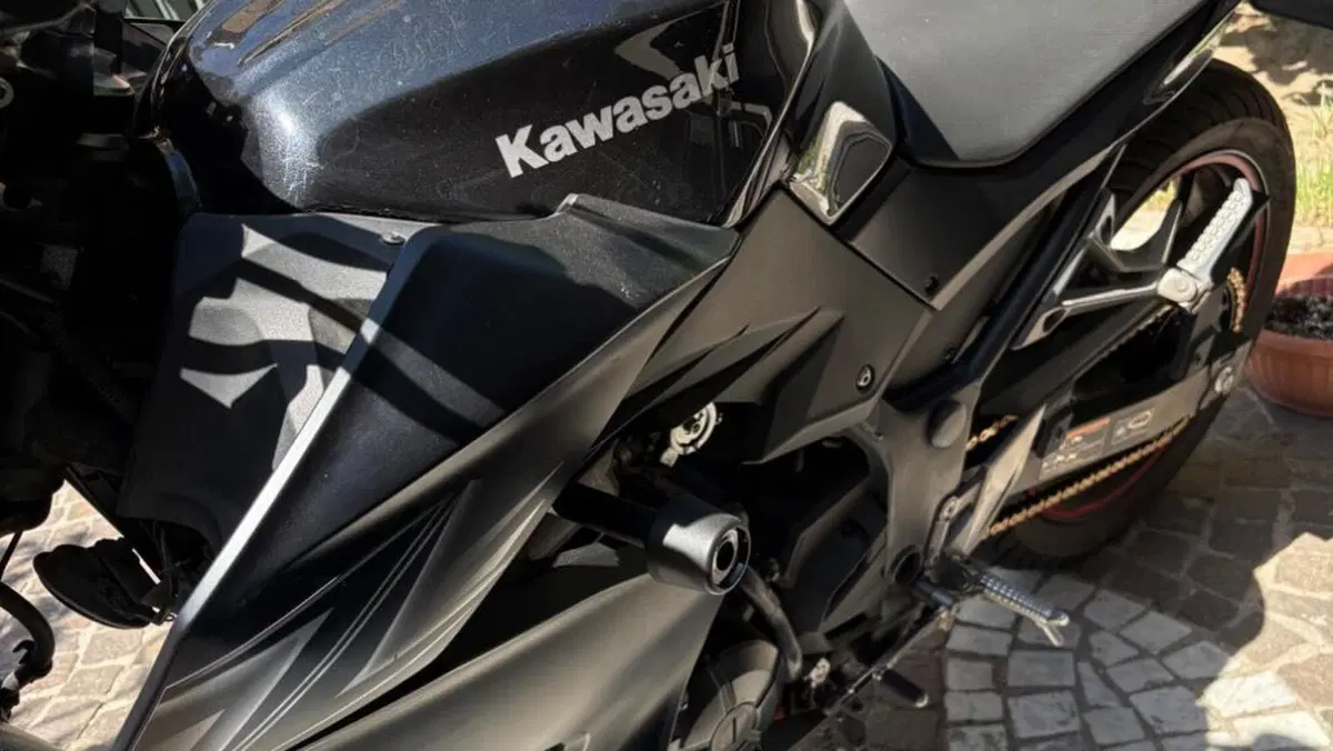 Kawasaki Z 300 ABS (2015 - 16)  (2)
