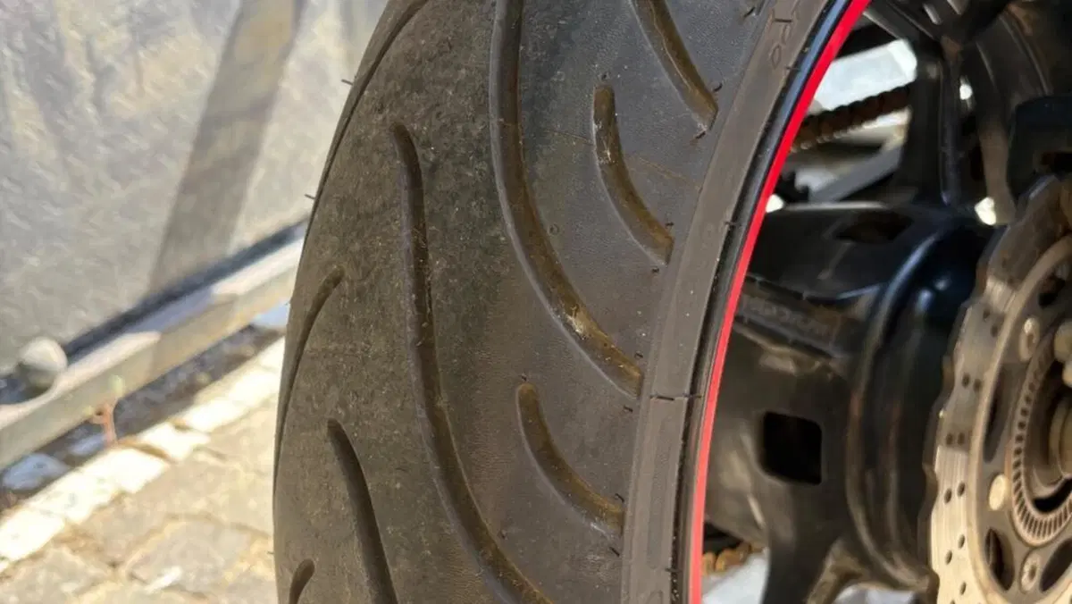 Kawasaki Z 300 ABS (2015 - 16)  (4)