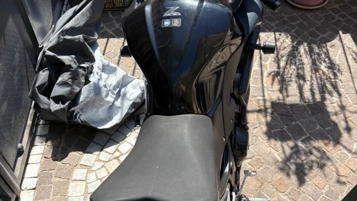 Kawasaki Z 300 ABS (2015 - 16)  (5)