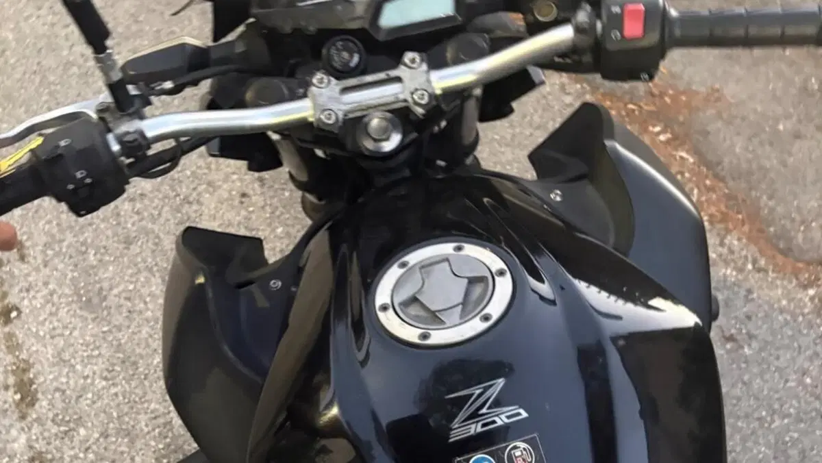 Kawasaki Z 300 ABS (2015 - 16)  (6)