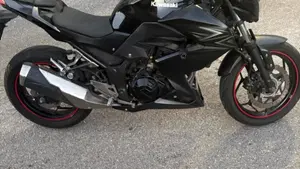 Kawasaki Z 300 ABS (2015 - 16)  (7)