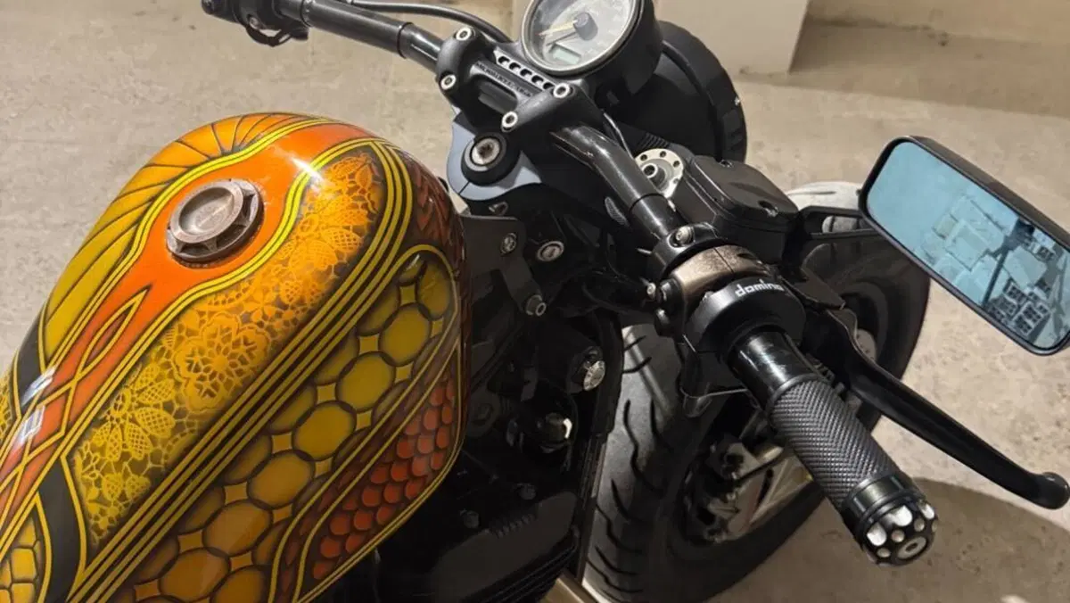 Harley-Davidson 1200 Forty-Eight (2010 - 15)  (2)