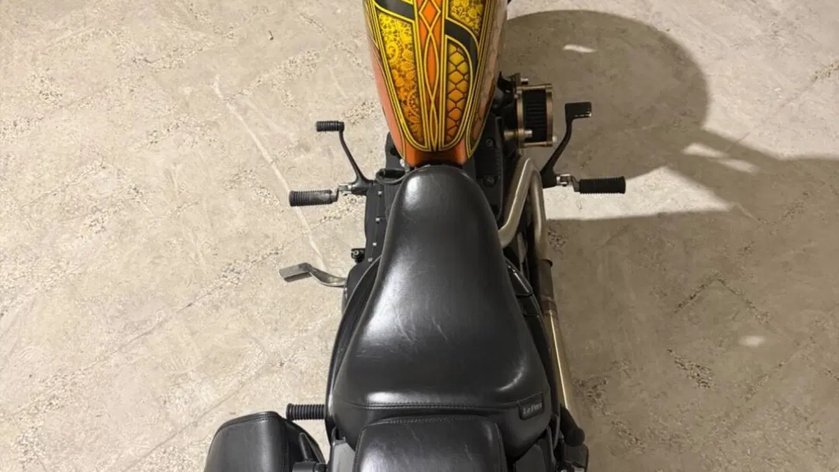 Harley-Davidson 1200 Forty-Eight (2010 - 15)  (4)
