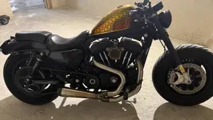 Harley-Davidson 1200 Forty-Eight (2010 - 15)  (5)