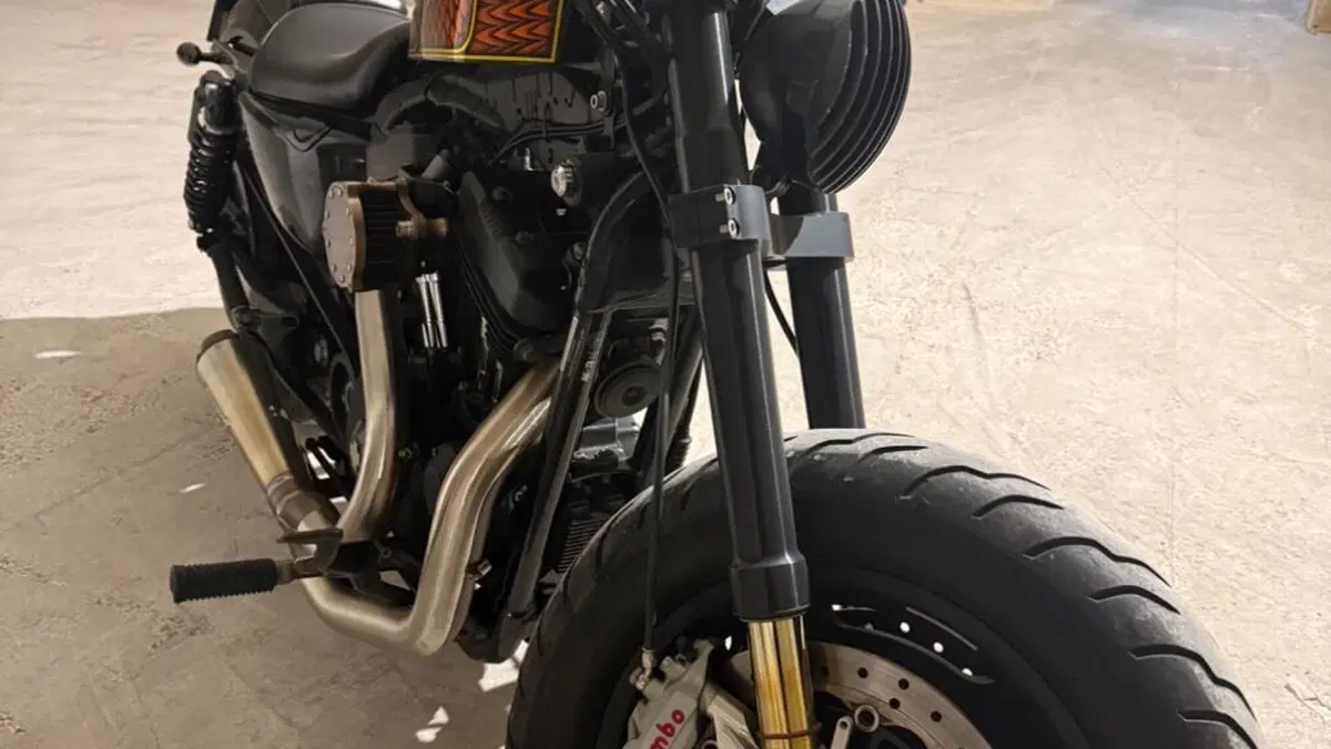 Harley-Davidson 1200 Forty-Eight (2010 - 15)  (10)