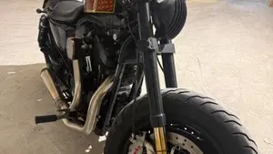 Harley-Davidson 1200 Forty-Eight (2010 - 15)  (10)