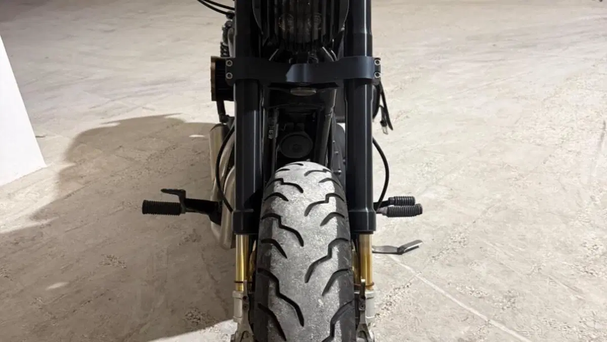 Harley-Davidson 1200 Forty-Eight (2010 - 15)  (11)