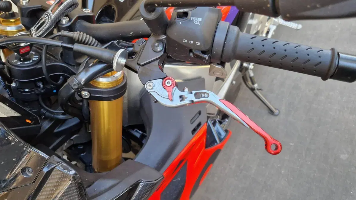 Aprilia Tuono V4 Factory (2021 - 24)  (7)