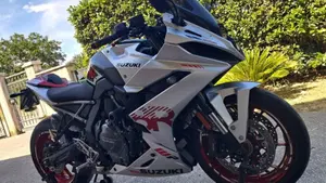Suzuki GSX-8R (2024 - 26)  (2)