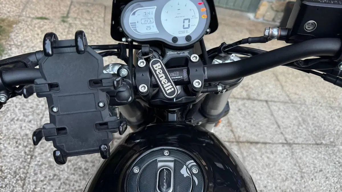 Benelli Leoncino 500 ABS (2017 - 20)  (9)