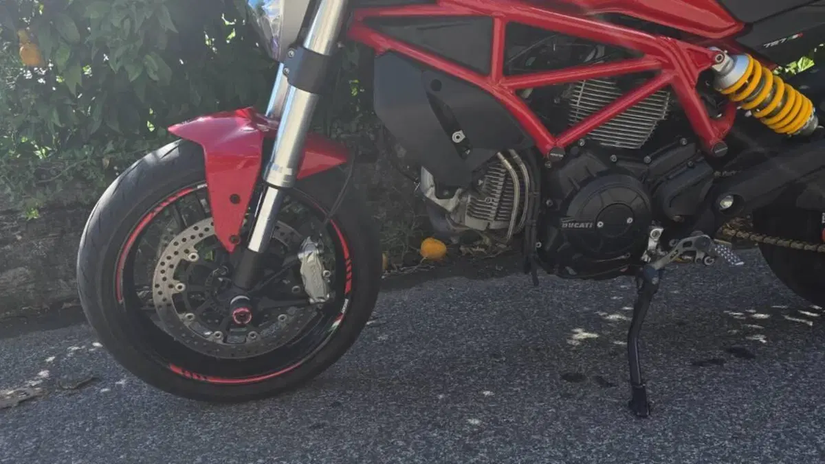 Ducati Monster 797 (2017 - 18) 