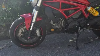 Ducati Monster 797 (2017 - 18)