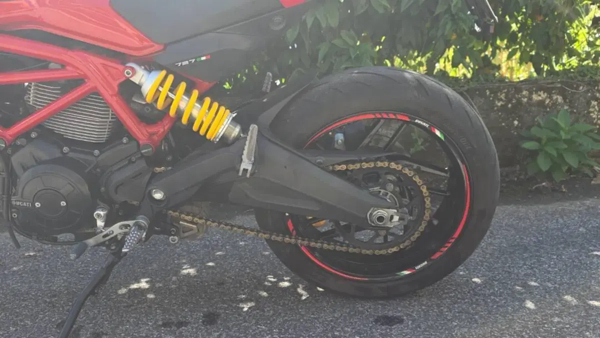 Ducati Monster 797 (2017 - 18)  (2)