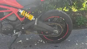 Ducati Monster 797 (2017 - 18)  (2)