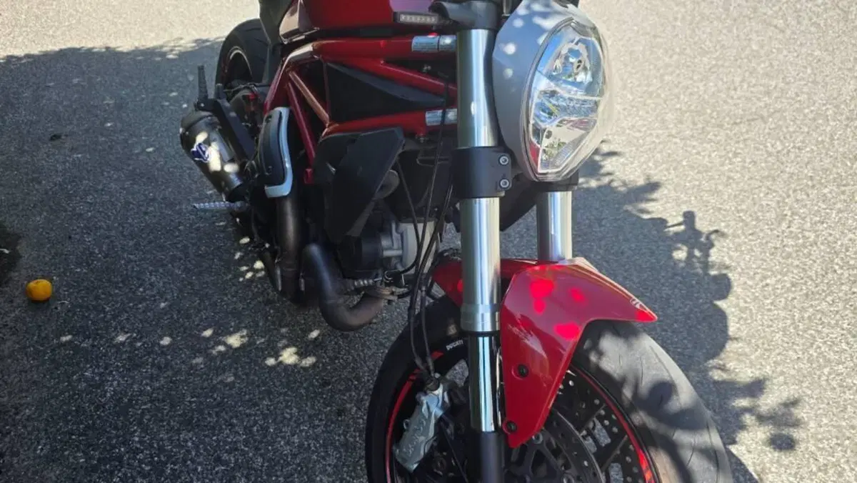 Ducati Monster 797 (2017 - 18)  (3)