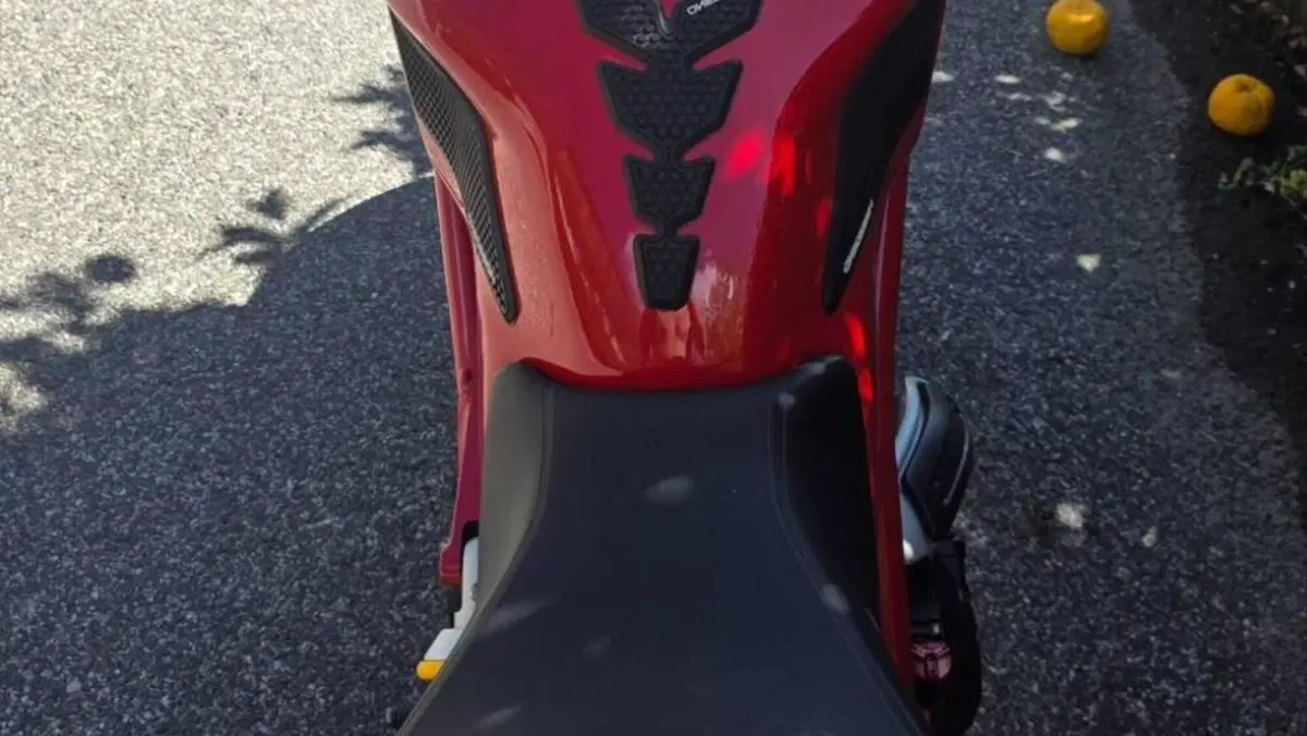 Ducati Monster 797 (2017 - 18)  (5)