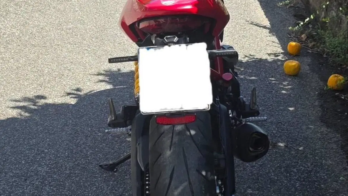 Ducati Monster 797 (2017 - 18)  (6)
