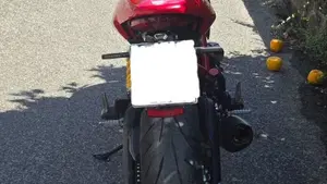 Ducati Monster 797 (2017 - 18)  (6)