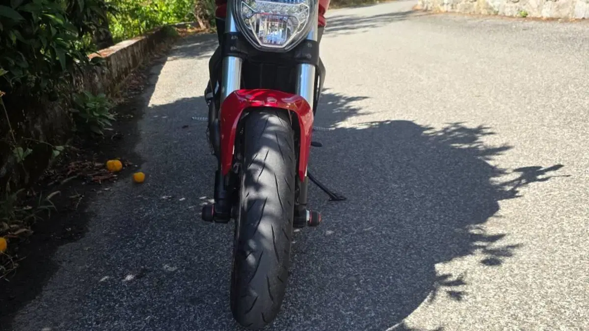 Ducati Monster 797 (2017 - 18)  (7)