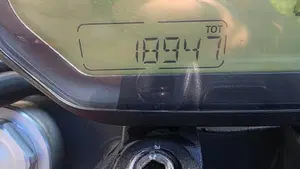 Ducati Monster 797 (2017 - 18)  (8)