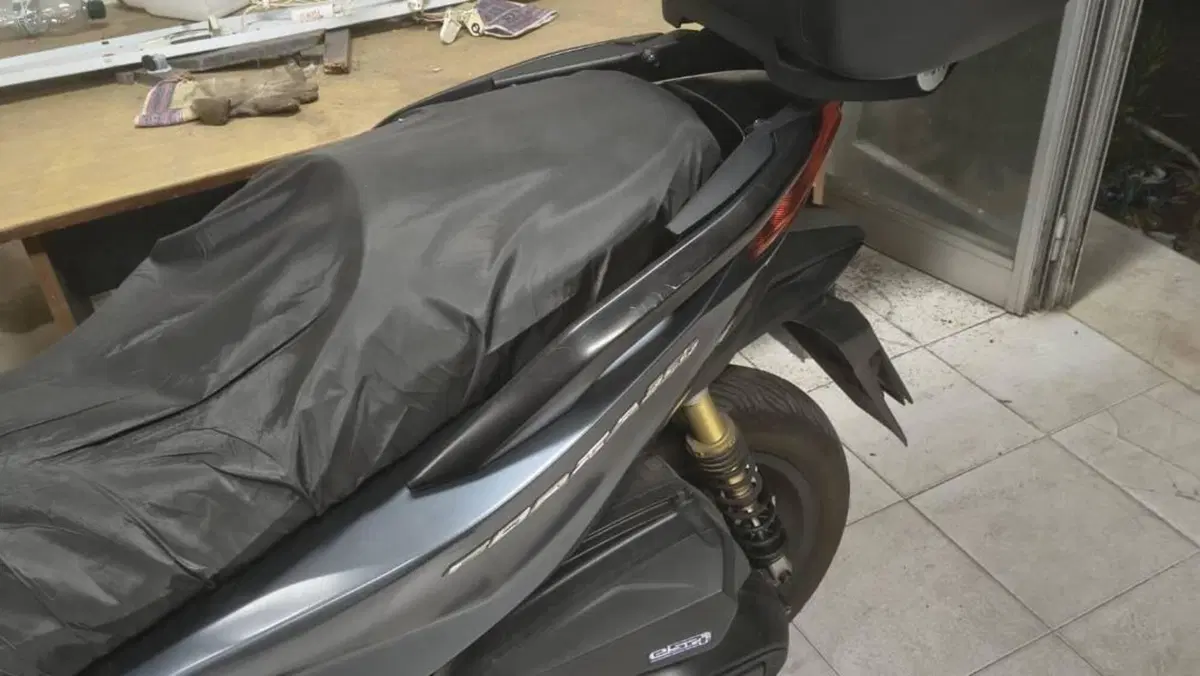 Honda Forza 350 Deluxe (2022 - 24)  (3)