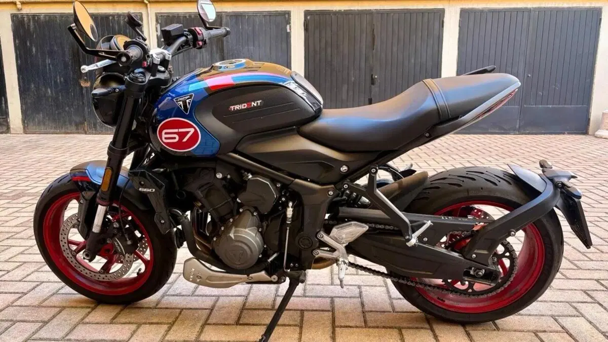Triumph Trident 660 Triple Tribute Edition (2025 - 26)  (2)