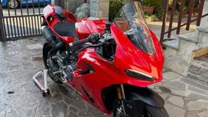 Ducati Panigale V2 (2025 - 26)  (6)