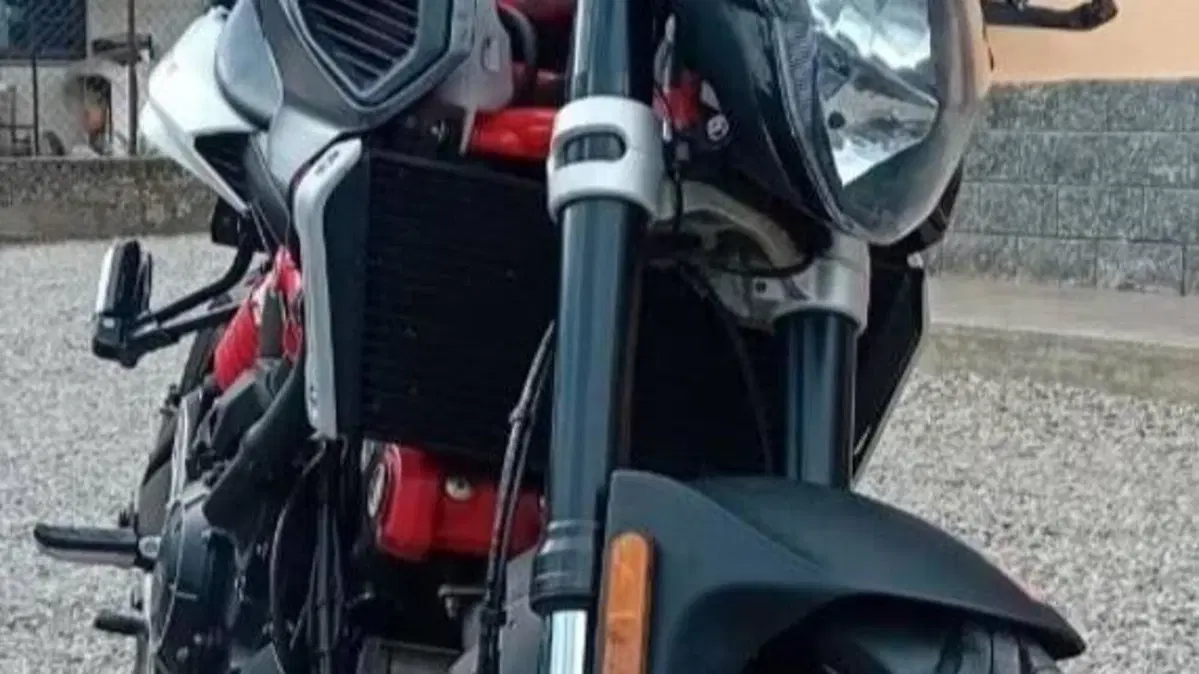 Aprilia Shiver 900 ABS (2017 - 18)  (2)