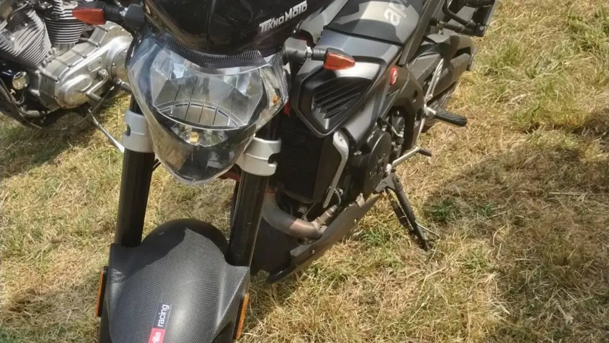 Aprilia Shiver 900 ABS (2017 - 18)  (3)