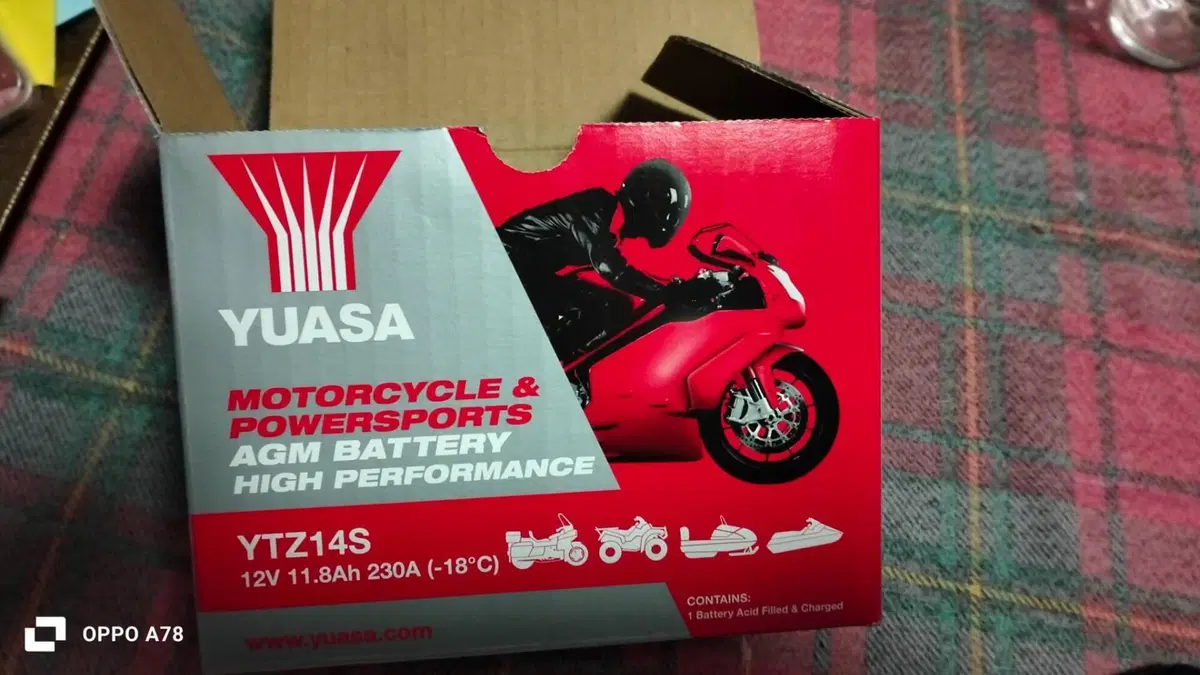 CFMOTO 450MT (2024 - 26)  (5)