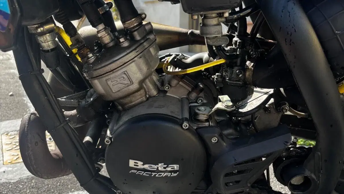 Betamotor RR 50 Motard (2018 - 20)  (5)