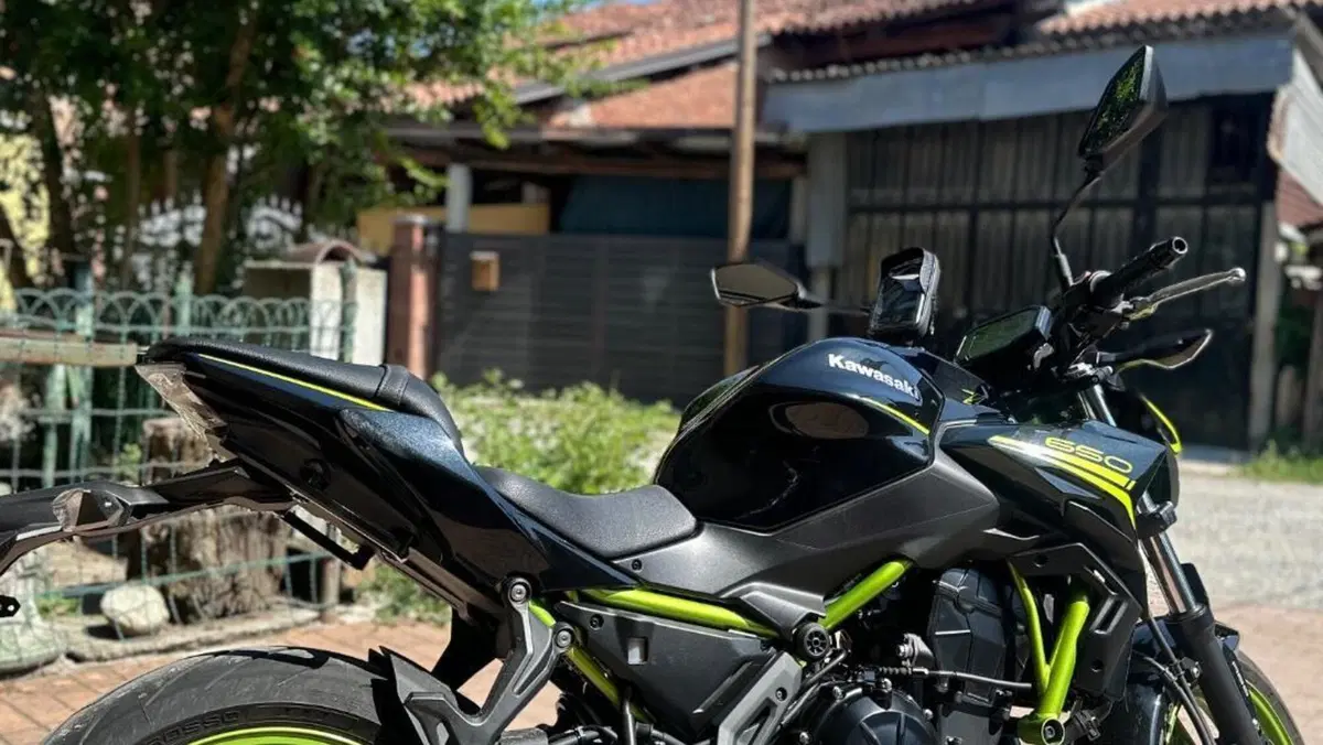 Kawasaki Z 650 (2020)  (2)