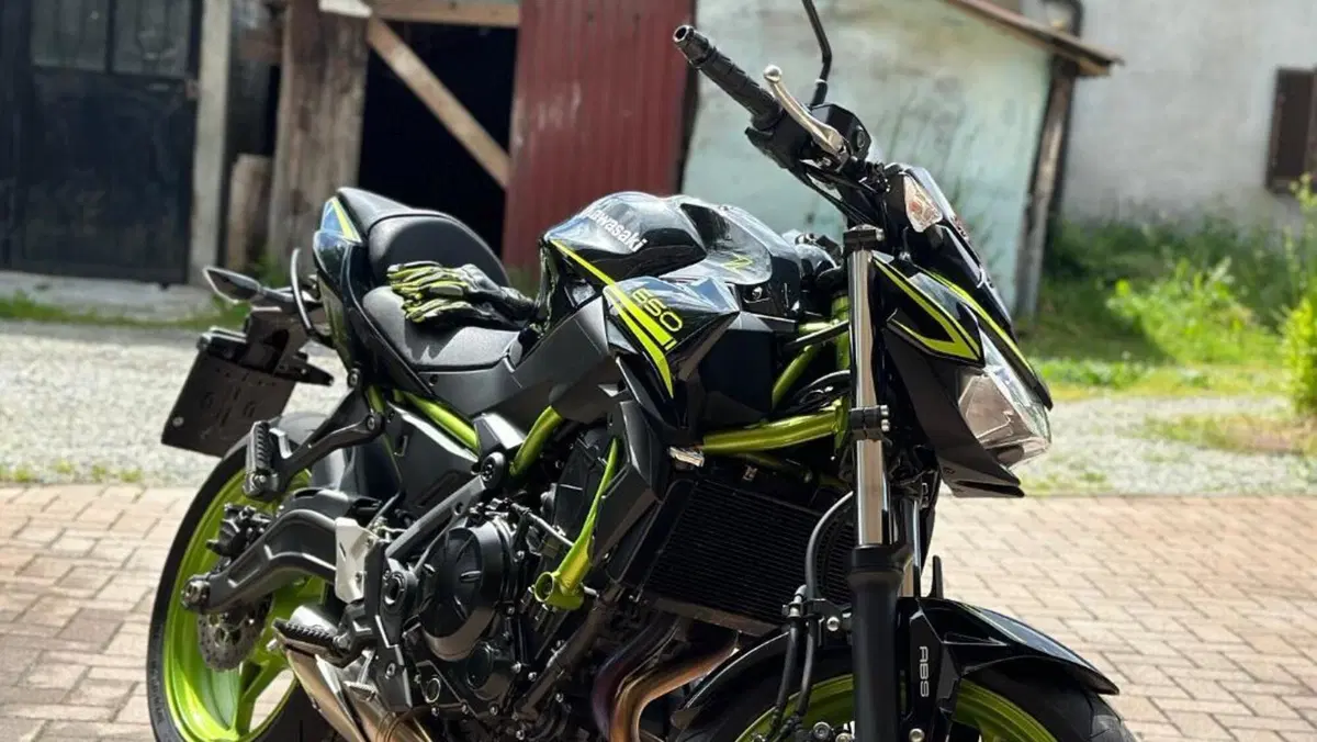 Kawasaki Z 650 (2020)  (3)