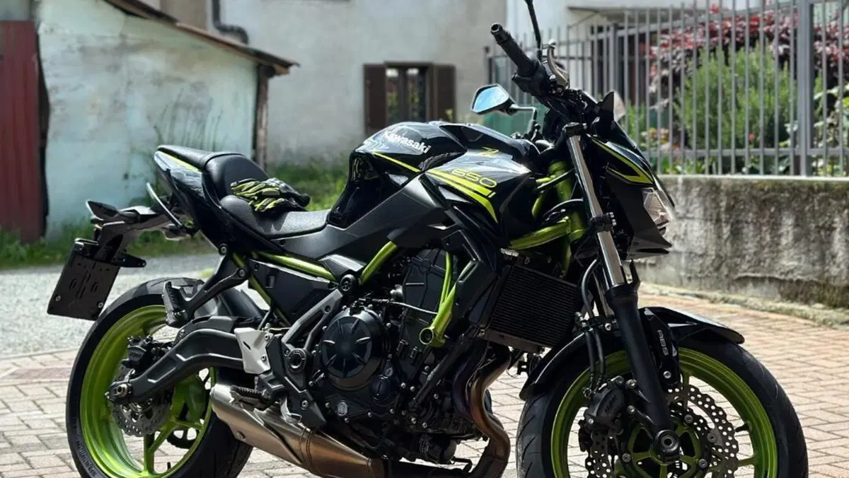Kawasaki Z 650 (2020) 