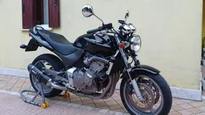 Honda Hornet 600 (2000 - 02)  (2)
