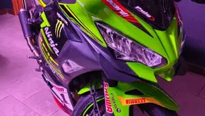 Kawasaki Ninja 400 KRT (2018)  (2)