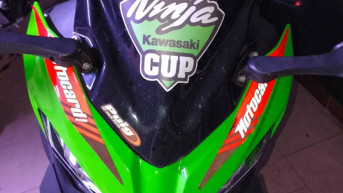 Kawasaki Ninja 400 KRT (2018)  (6)