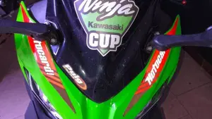 Kawasaki Ninja 400 KRT (2018)  (6)
