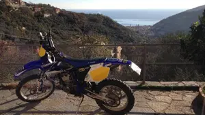 Yamaha WR 250 F (2006)  (3)