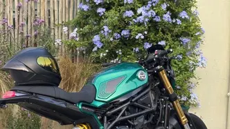 Benelli Leoncino 800 (2022 - 26) usata