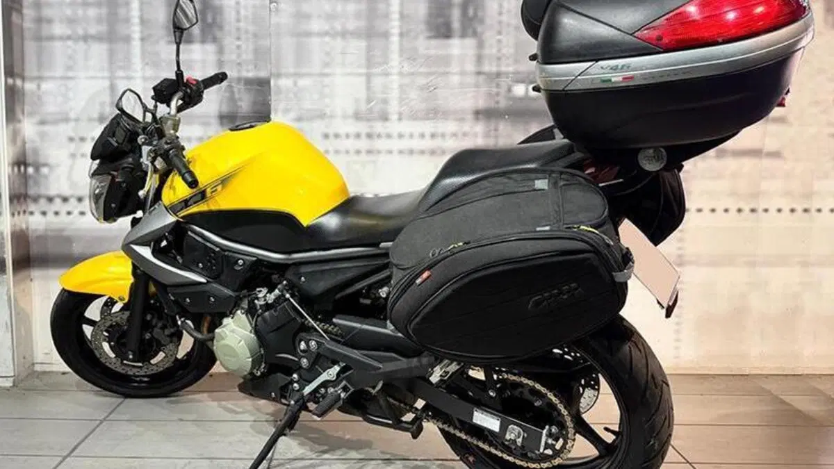 Yamaha XJ6 (2008 - 15)  (2)
