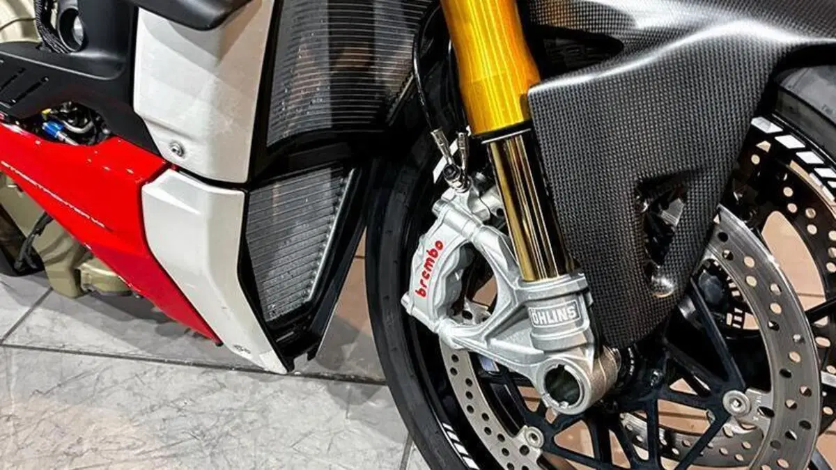 Ducati Streetfighter V4 1100 (2020)  (9)