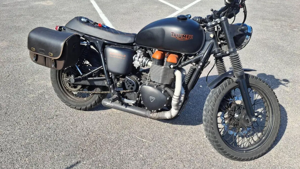 Triumph Bonneville T100 SE (2014)  (2)
