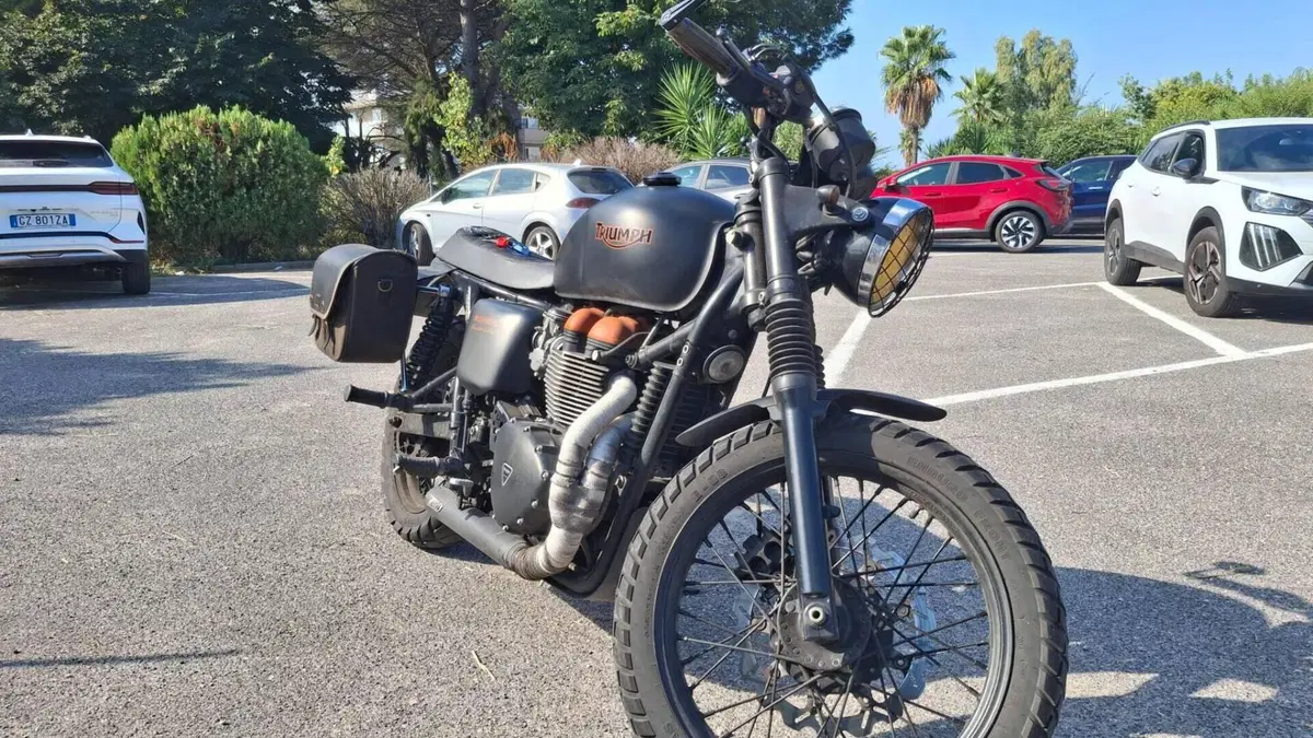 Triumph Bonneville T100 SE (2014)  (3)