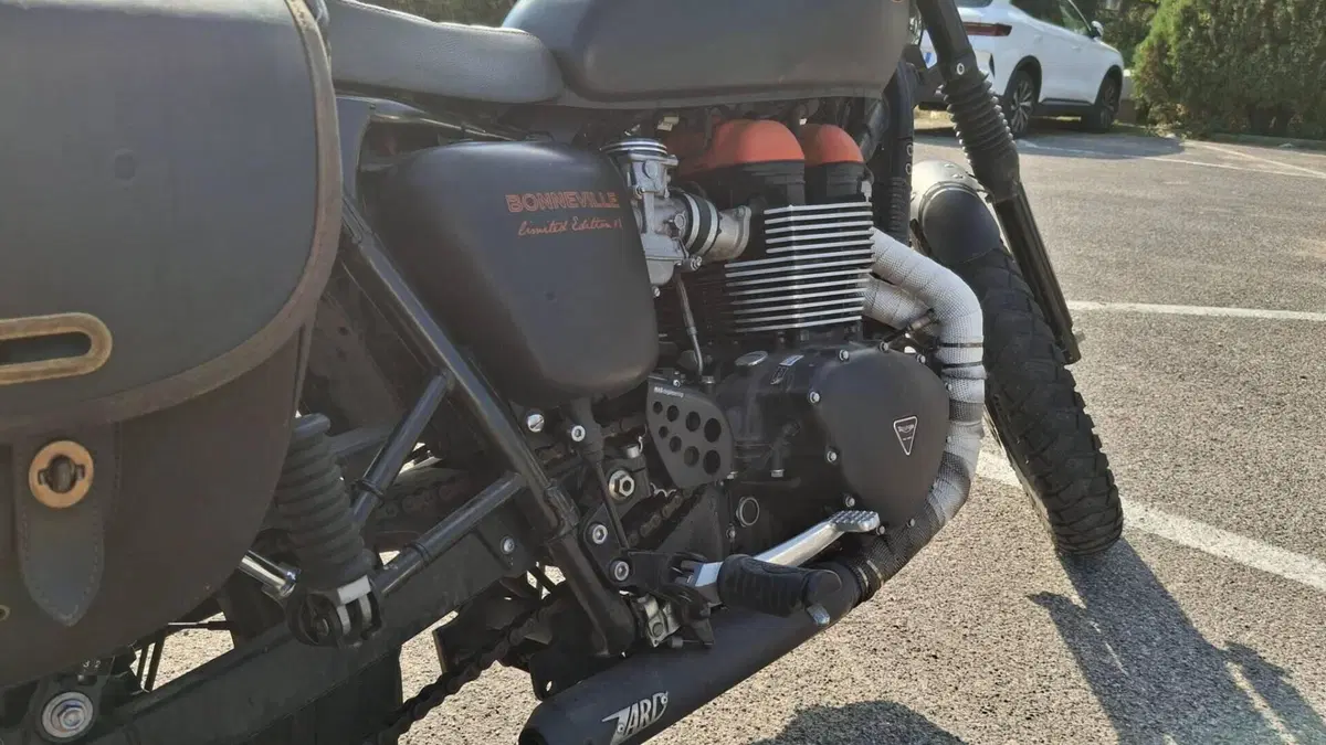 Triumph Bonneville T100 SE (2014)  (4)