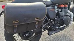 Triumph Bonneville T100 SE (2014)  (5)