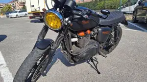 Triumph Bonneville T100 SE (2014)  (6)