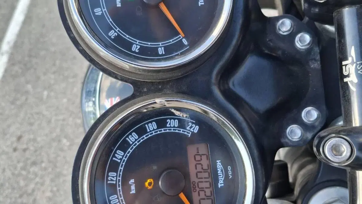 Triumph Bonneville T100 SE (2014)  (8)
